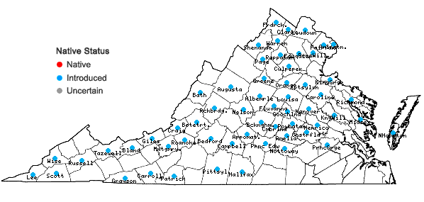 Locations ofGalium pedemontanum (Bellardi) Allioni in Virginia