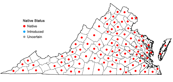 Locations ofGalium pilosum Ait. in Virginia