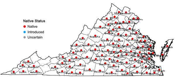 Locations ofGalium pilosum Ait. in Virginia