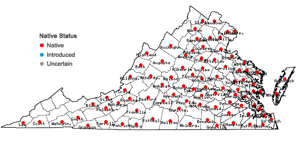 Locations ofGalium tinctorium L. in Virginia