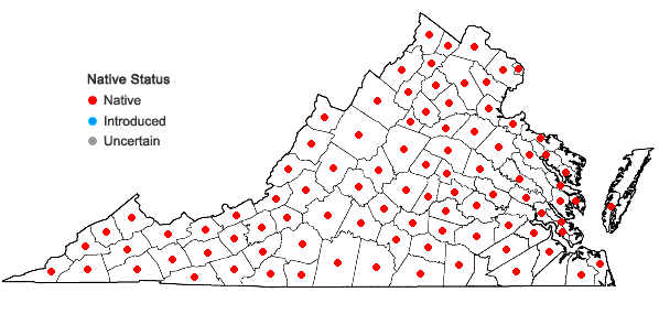 Locations ofGalium triflorum Michx. in Virginia