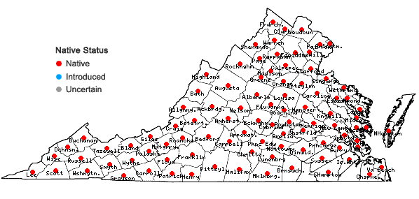 Locations ofGalium triflorum Michx. in Virginia