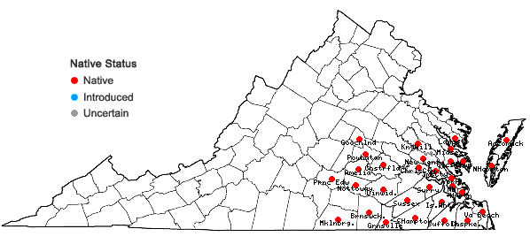 Locations ofGalium uniflorum Michx. in Virginia