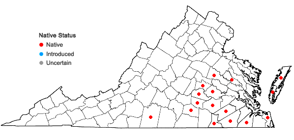 Locations ofGamochaeta calviceps (Fern.) Cabrera in Virginia
