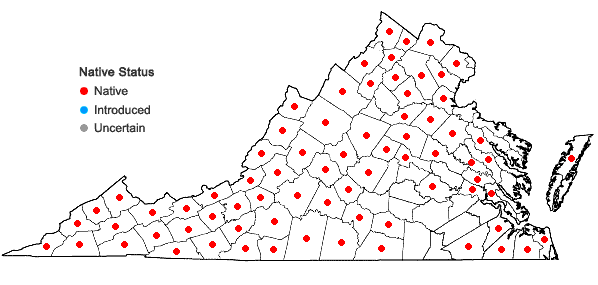 Locations ofGaultheria procumbens L. in Virginia