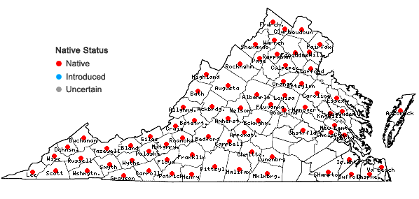 Locations ofGaultheria procumbens L. in Virginia