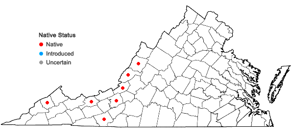 Locations ofGaylussacia brachycera (Michx.) Gray in Virginia