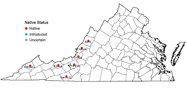 Locations ofGaylussacia brachycera (Michx.) Gray in Virginia