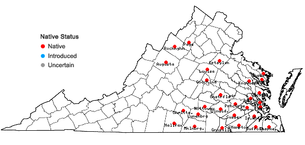 Locations ofGaylussacia dumosa (Andr.) Torr. & Gray in Virginia