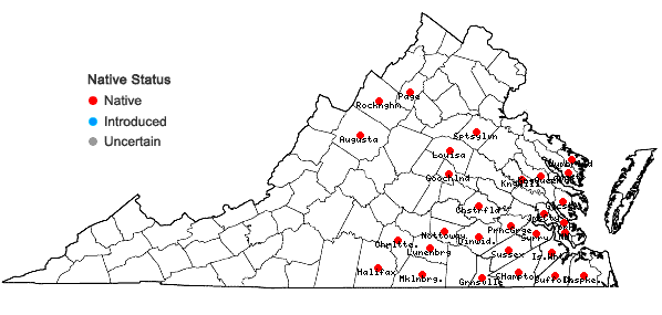 Locations ofGaylussacia dumosa (Andr.) Torr. & Gray in Virginia