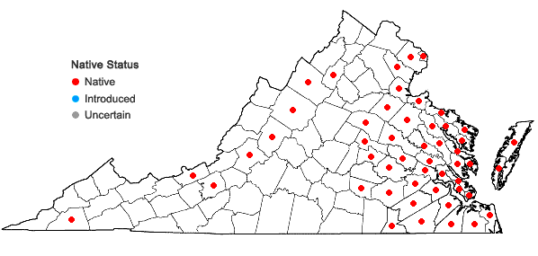 Locations ofGaylussacia frondosa (L.) Torr. & Gray ex Torr. in Virginia