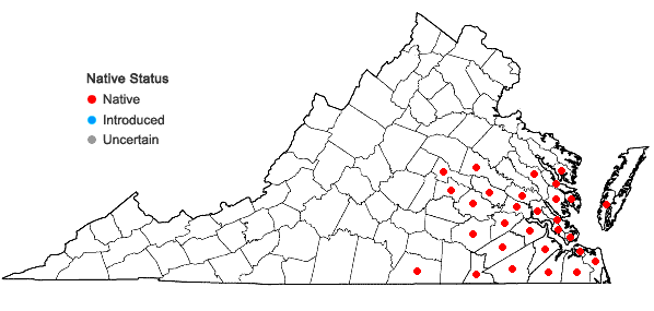 Locations ofGelsemium sempervirens (L.) St.-Hilaire in Virginia