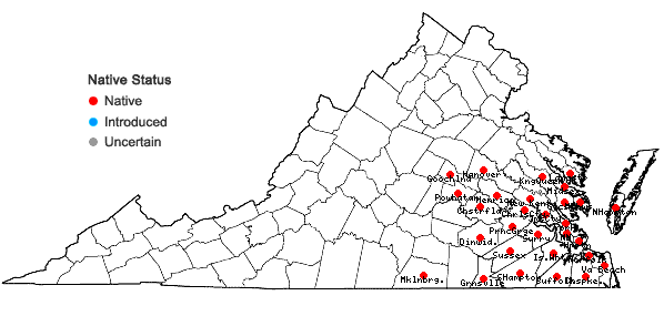 Locations ofGelsemium sempervirens (L.) St.-Hilaire in Virginia