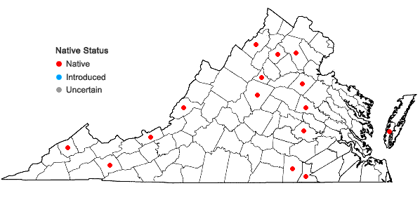 Locations ofGemmabryum caespiticium (Hedw.) J.R. Spence in Virginia