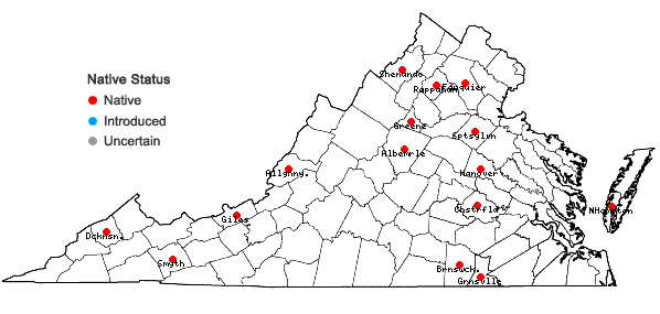 Locations ofGemmabryum caespiticium (Hedw.) J.R. Spence in Virginia