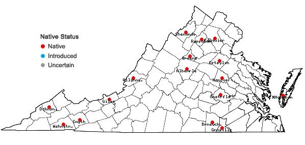 Locations ofGemmabryum caespiticium (Hedw.) J.R. Spence in Virginia