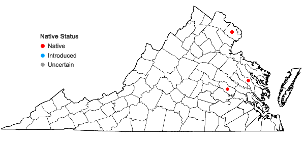 Locations ofGemmabryum subapiculatum (Hampe) J.R. Spence & H.P. Ramsay in Virginia