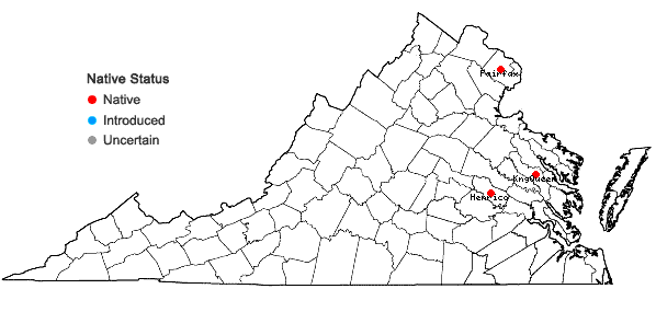 Locations ofGemmabryum subapiculatum (Hampe) J.R. Spence & H.P. Ramsay in Virginia