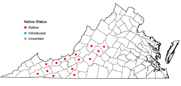 Locations ofGentiana austromontana Pringle & Sharp in Virginia