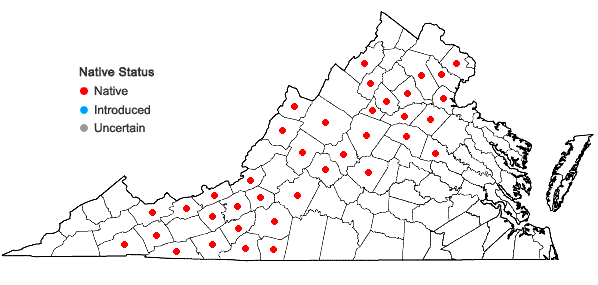 Locations ofGentiana clausa Raf. in Virginia