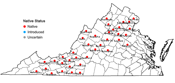 Locations ofGentiana clausa Raf. in Virginia
