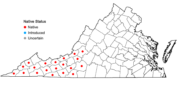 Locations ofGentiana decora Pollard in Virginia