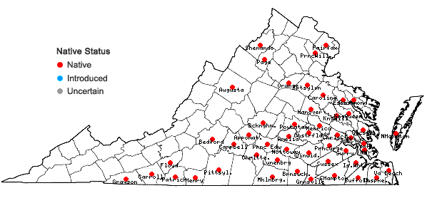 Locations ofGentiana saponaria L. in Virginia