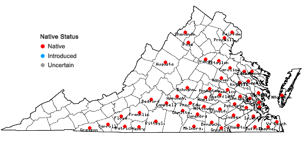 Locations ofGentiana saponaria L. in Virginia