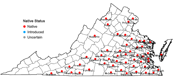 Locations ofGentiana saponaria L. in Virginia