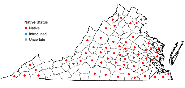 Locations ofGentiana villosa L. in Virginia
