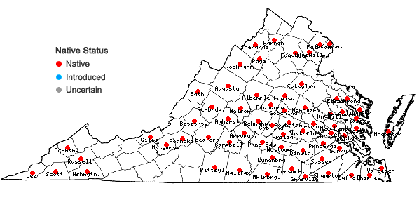 Locations ofGentiana villosa L. in Virginia