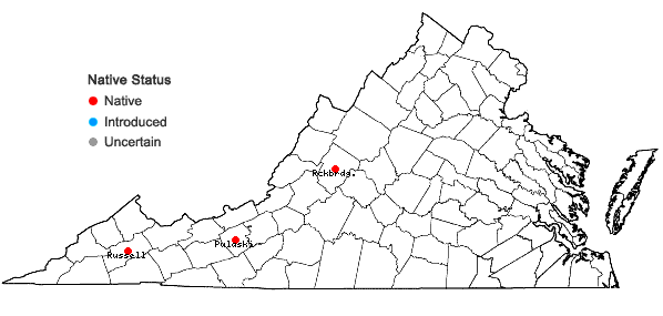 Locations ofGentianella occidentalis (A. Gray) Small in Virginia