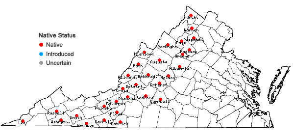 Locations ofGentianella quinquefolia (L.) Small in Virginia