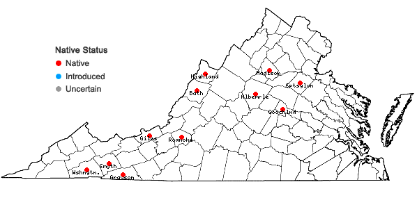 Locations ofGeocalyx graveolens (Schrad.) Nees in Virginia