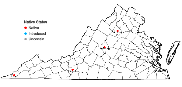 Locations ofGeocarpon groenlandicum (Retzius) E.E. Schilling in Virginia