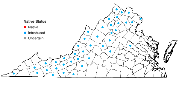 Locations ofGeranium columbinum L. in Virginia