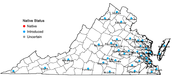 Locations ofGeranium dissectum L. in Virginia