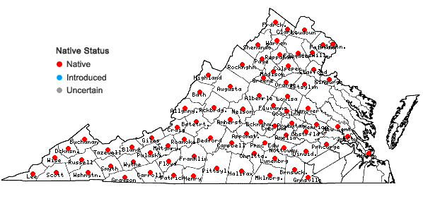 Locations ofGeranium maculatum L. in Virginia
