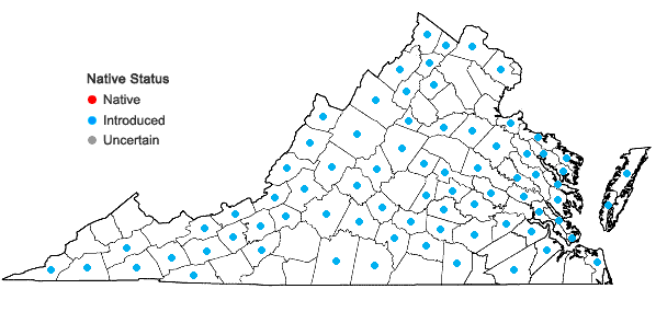 Locations ofGeranium molle L. in Virginia