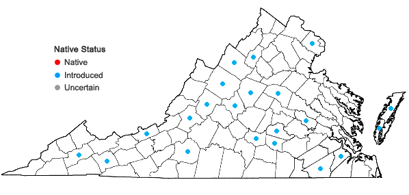 Locations ofGeranium pusillum L. in Virginia