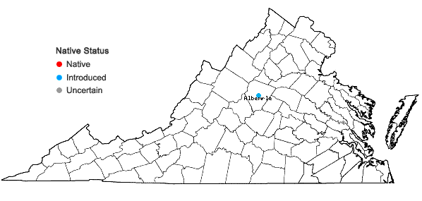 Locations ofGeranium thunbergii Sieb. & Zucc. ex Lindl. & Paxton in Virginia