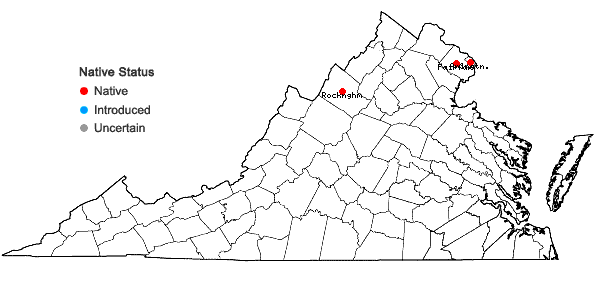Locations ofGeum aleppicum Jacquin in Virginia