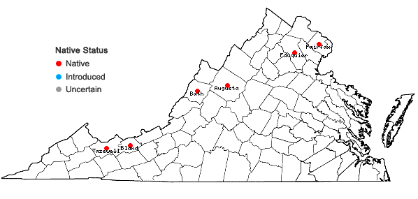 Locations ofGeum laciniatum Murray in Virginia