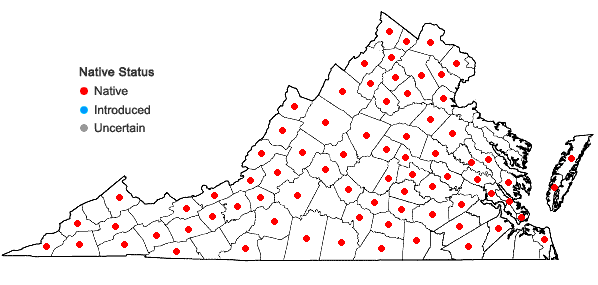 Locations ofGeum virginianum L. in Virginia