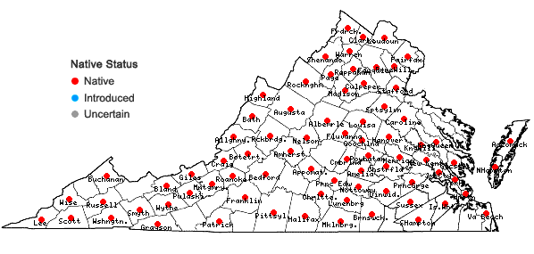 Locations ofGeum virginianum L. in Virginia