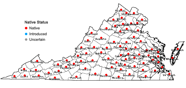 Locations ofGeum virginianum L. in Virginia