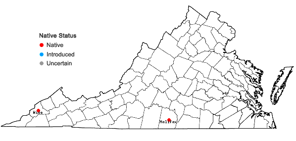 Locations ofGillenia stipulata (Muhl. ex Willd.) Nutt. in Virginia