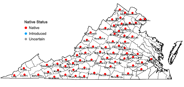 Locations ofGillenia trifoliata (L.) Moench in Virginia