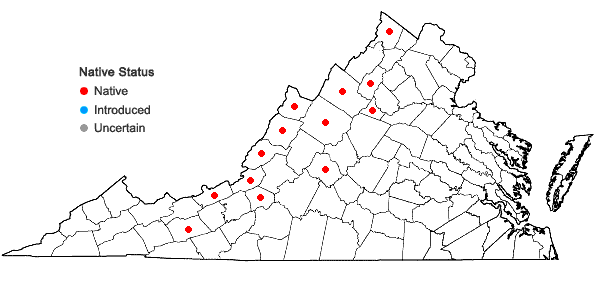 Locations ofGlyceria acutiflora Torr. in Virginia