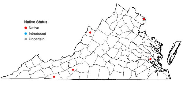 Locations ofGlyceria grandis S. Wats. var. grandis in Virginia